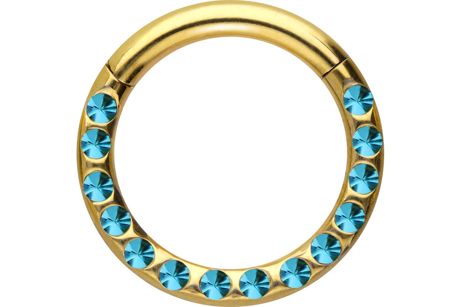 Chirurgenstahl Segmentring Clicker Piercing KRISTALLE + EPOXY ++SALE++